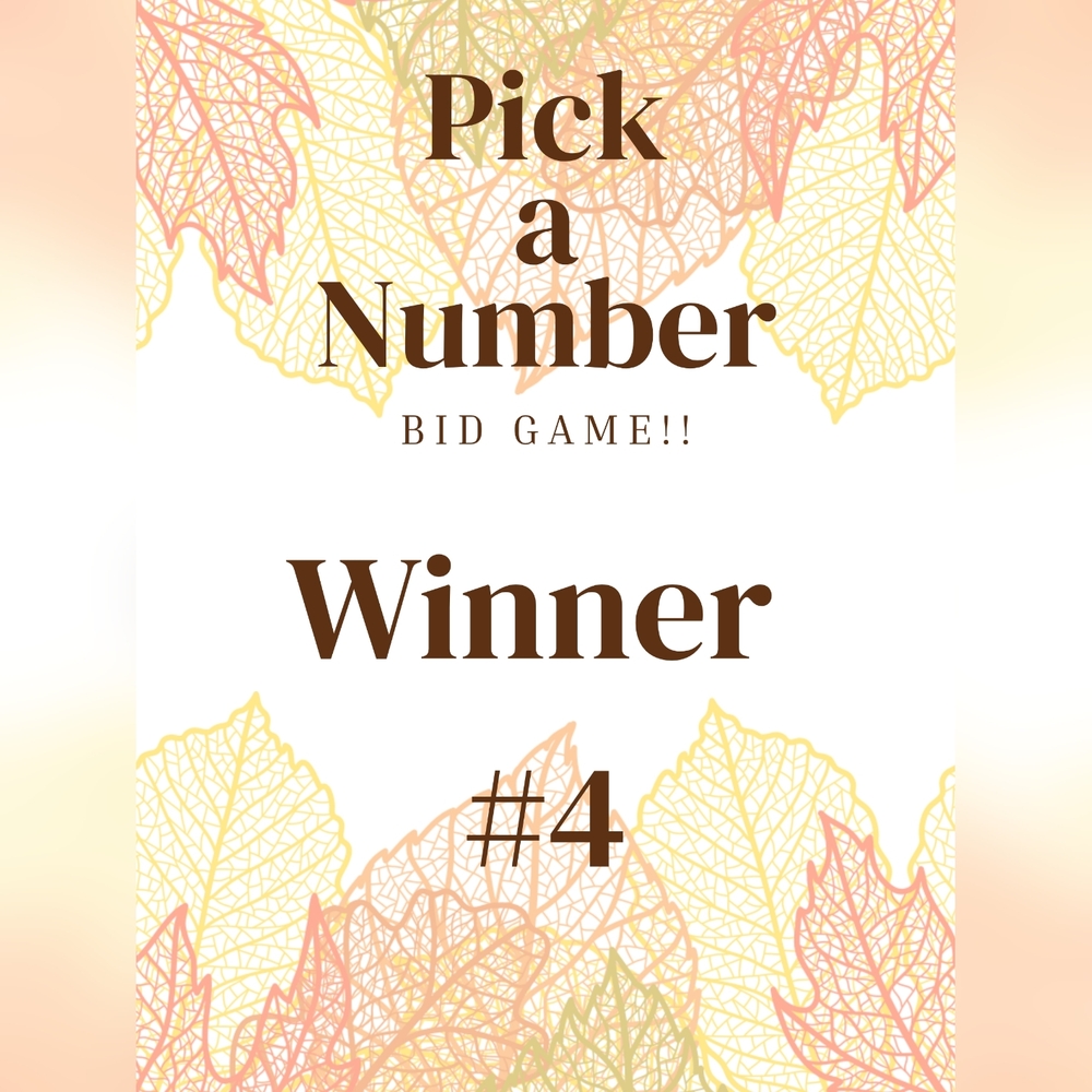 Winner #4
